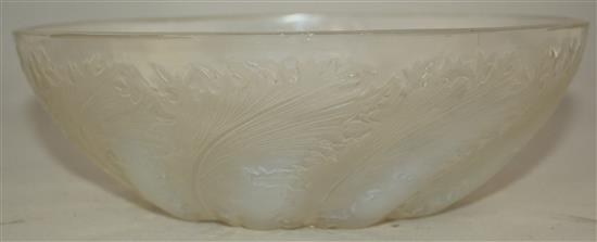 A René Lalique Chicoree bowl, introduced 1932, 24cm, tiny splinter chips